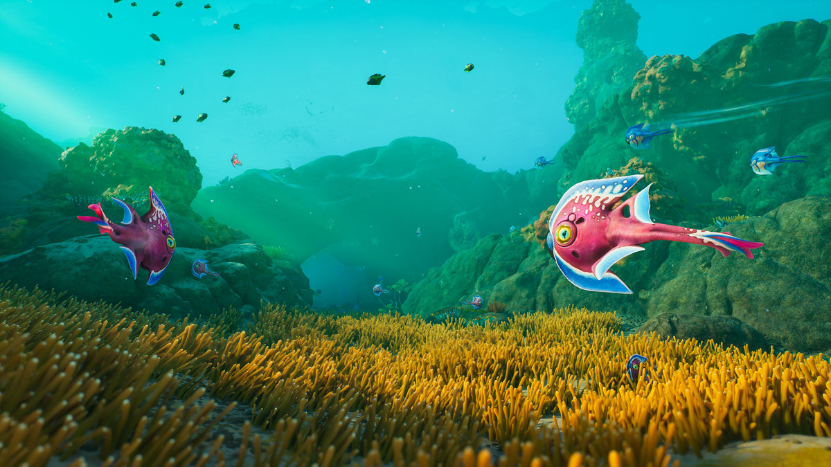 Exploring a coral reef teeming with aquatic life in ‘Subnautica 2’.