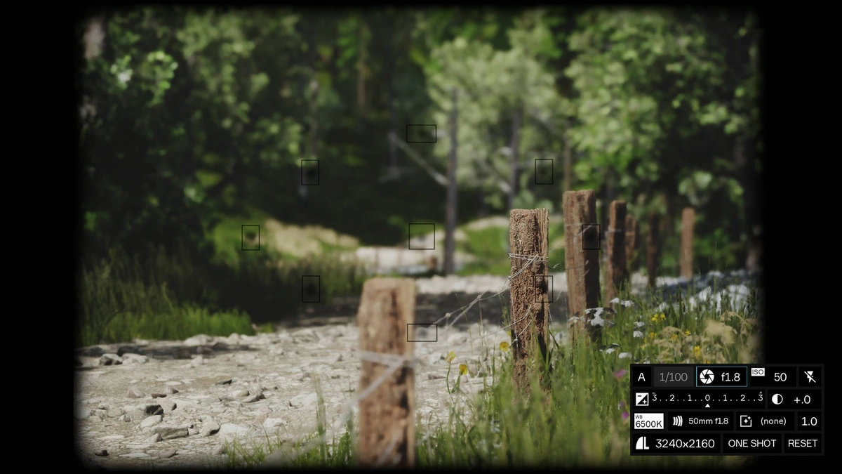 A close-up photo of a forest fence in Lushfoil Photography Sim.