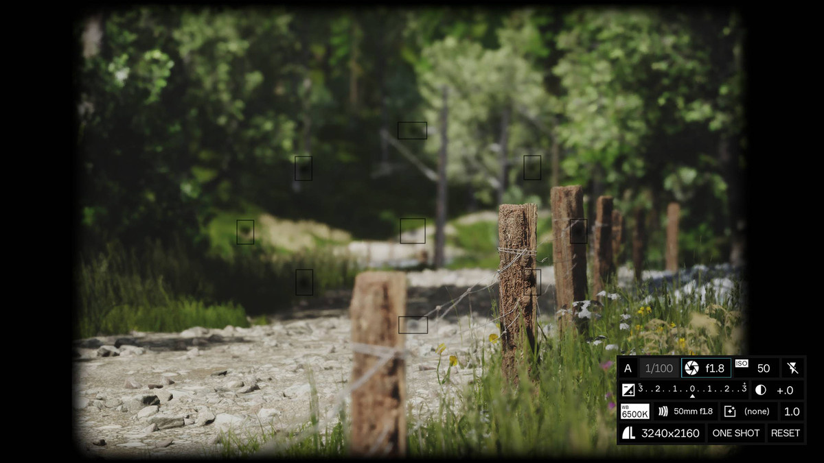 A close-up photo of a forest fence in Lushfoil Photography Sim.