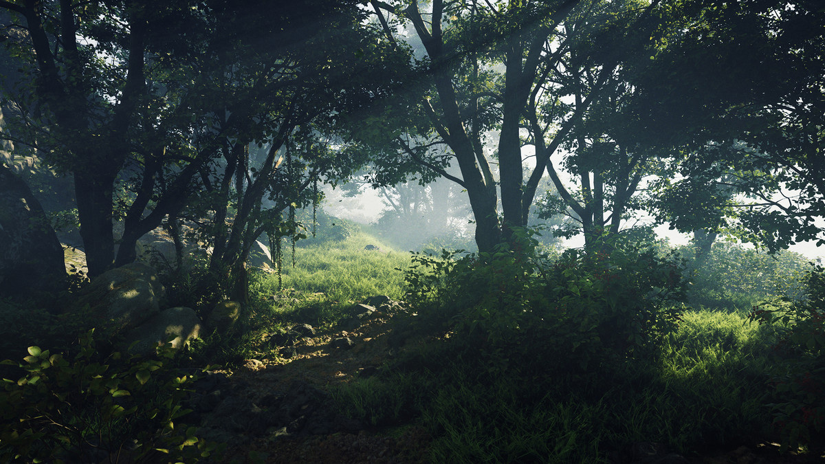 A stunningly realistic forest scene created in UE5.