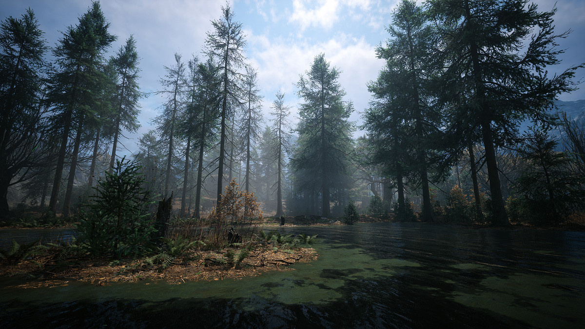 A swampy lake in a brooding forest in ‘The Blood of Dawnwalker’.