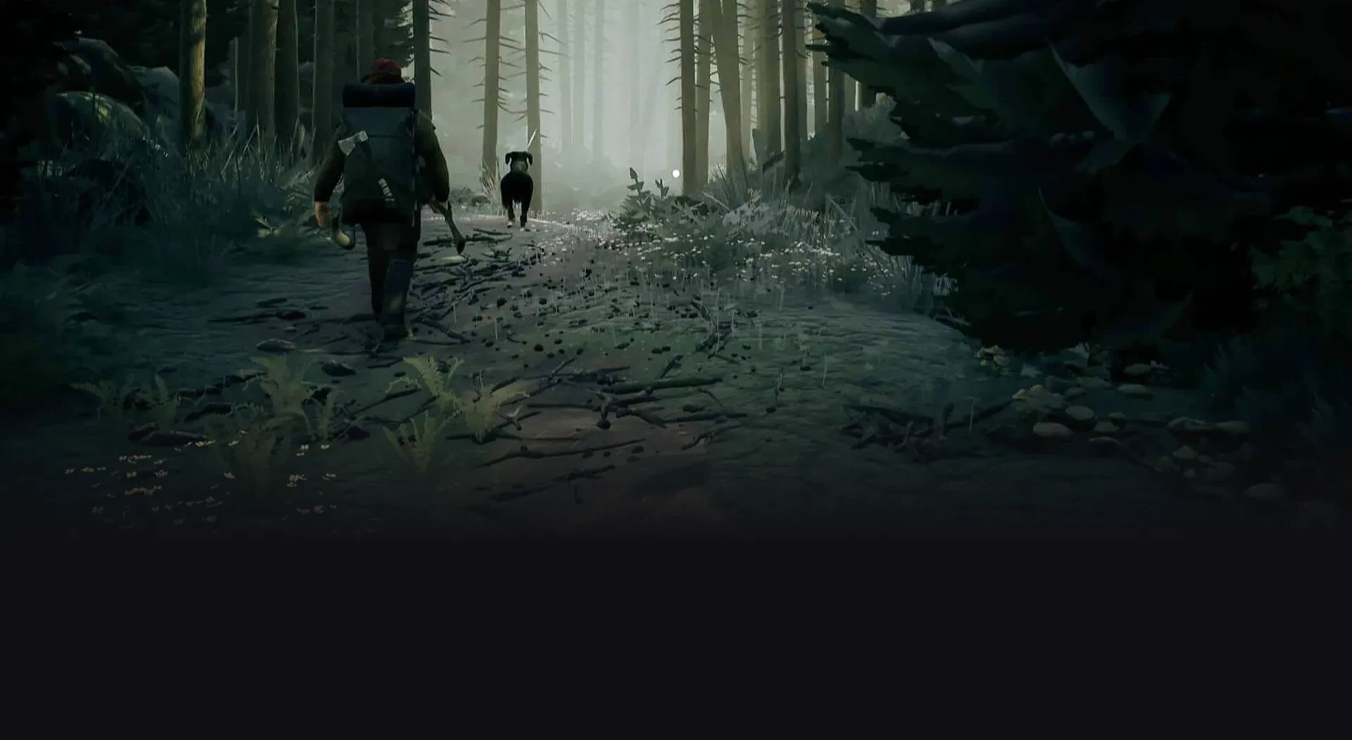 MegaGrants Stories background image