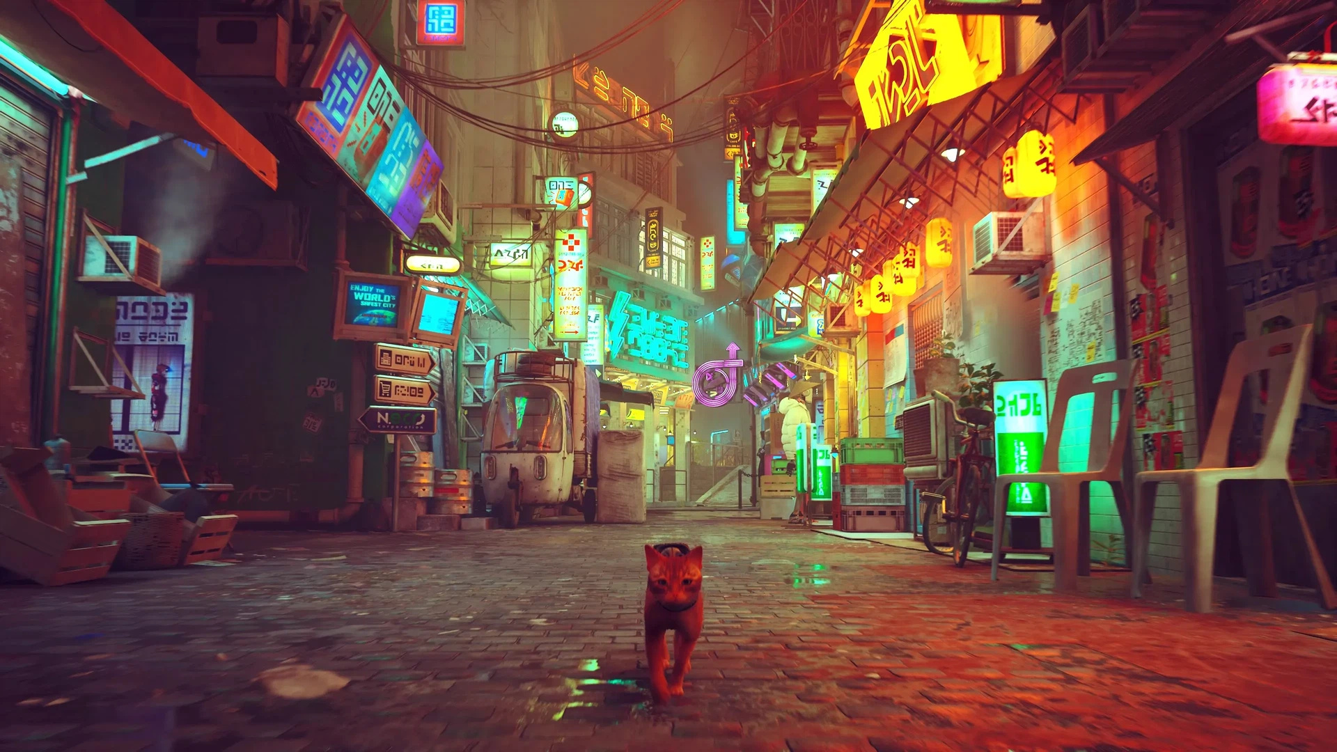 Stray screenshot
