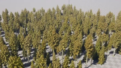 Introduction to Procedural Generation plugin in UE5.2