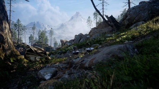 Quixel assets