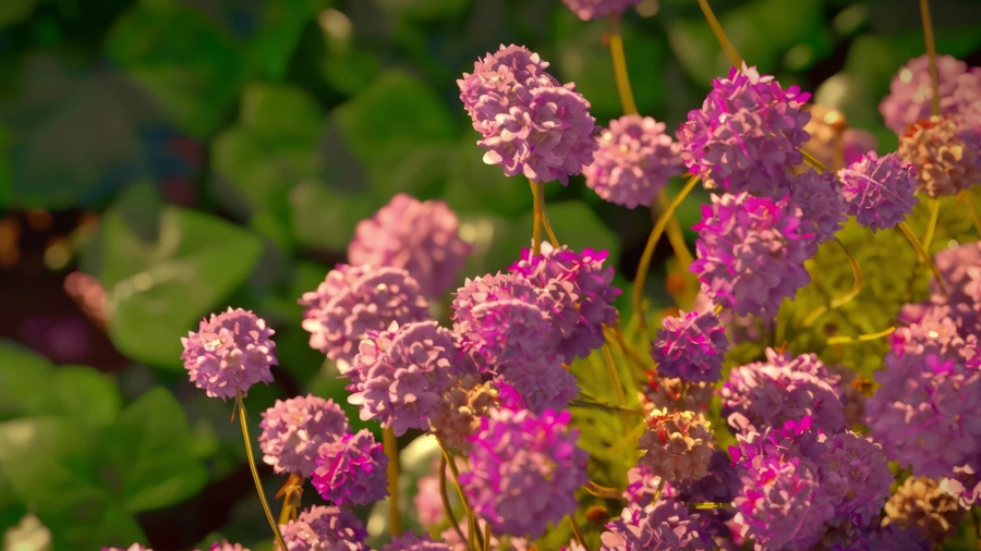 Animated flowers in Unreal Engine.