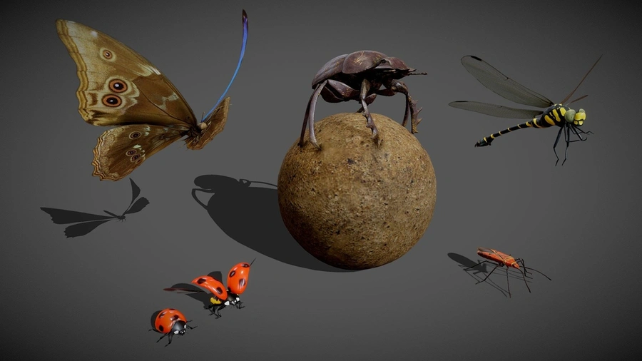 Animated Insect Pack.