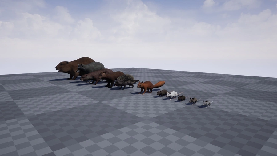 Pack of small animals.