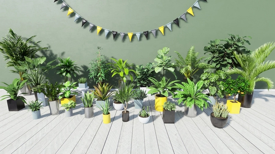 A variety of tropical house plants in pots.