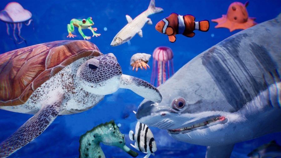 A variety of sea creatures in the sea.