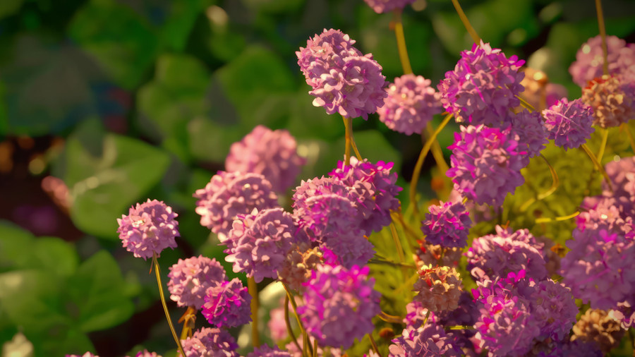 Animated flowers in Unreal Engine.
