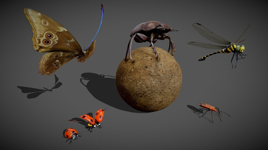 Animated Insect Pack.