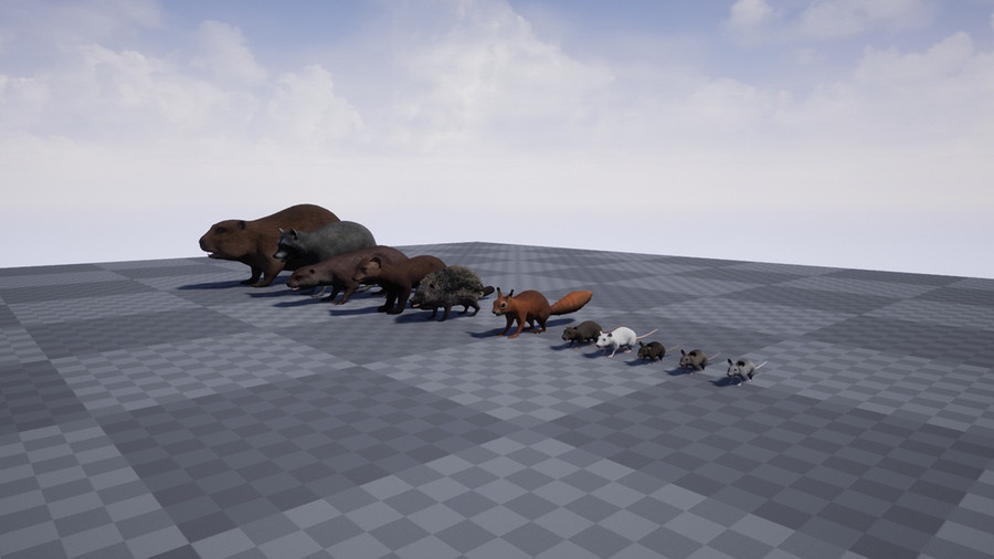Pack of small animals.