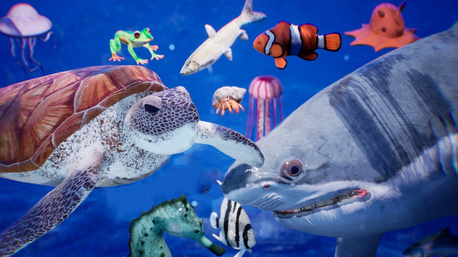A variety of sea creatures in the sea.
