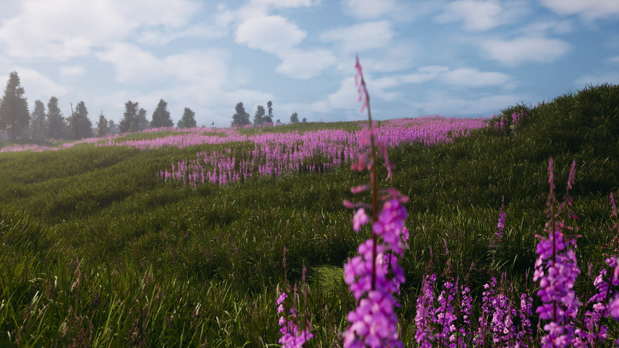 Calysto World 2.0 procedural world generation.