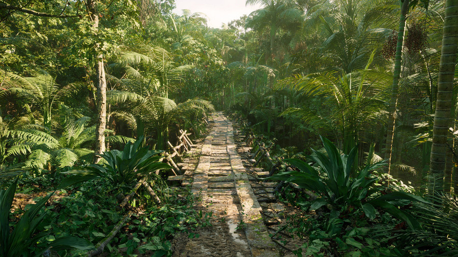 MW Tropical Rainforest Trees Biome.
