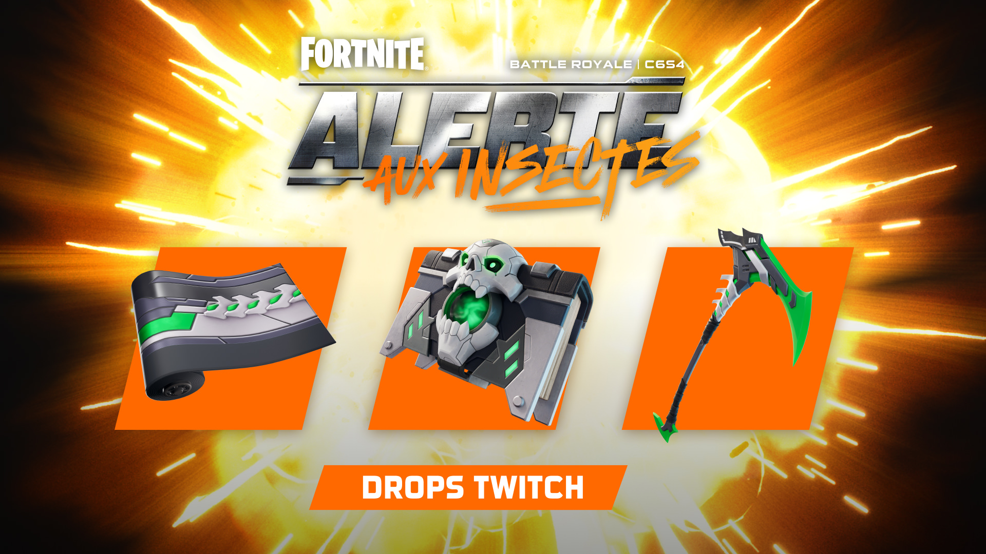 Image large sur desktop