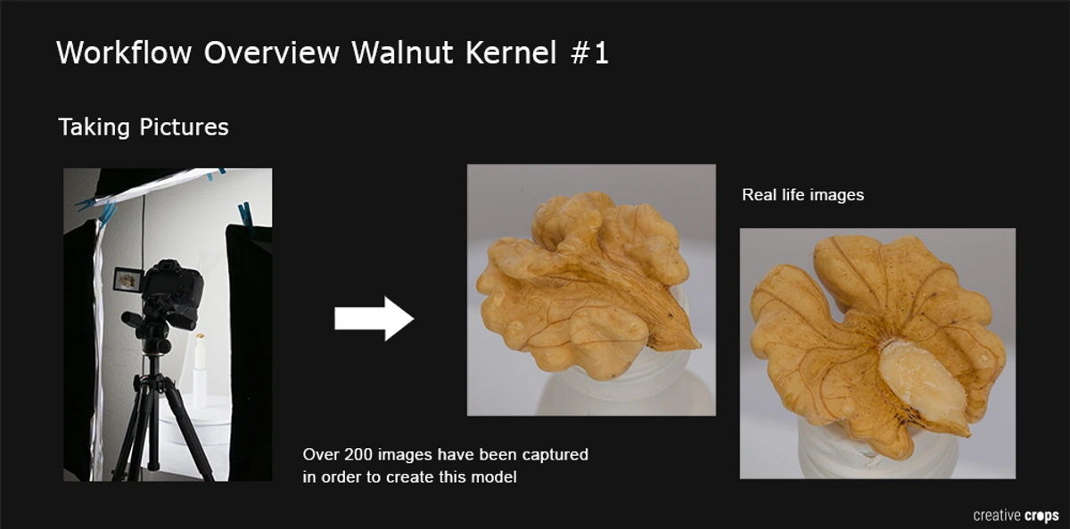 Creative Crops images taken with RealityScan to produce walnut 3D model.