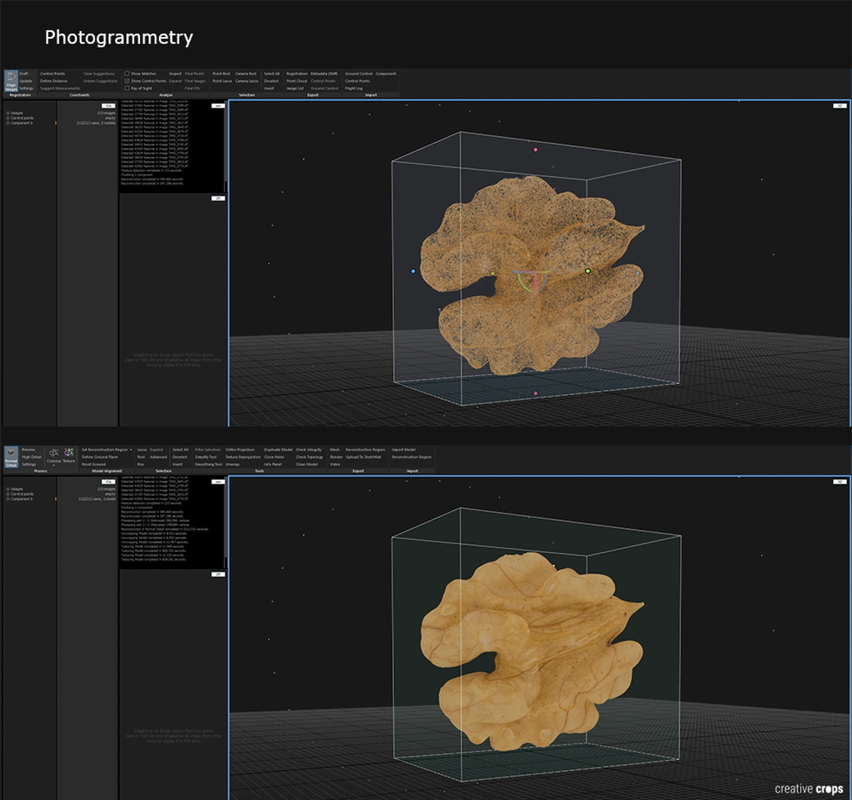 3D model of a walnut scanned with RealityScan.
