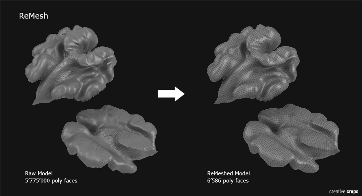 Raw 3D model of walnut after scanning, and remeshed model.