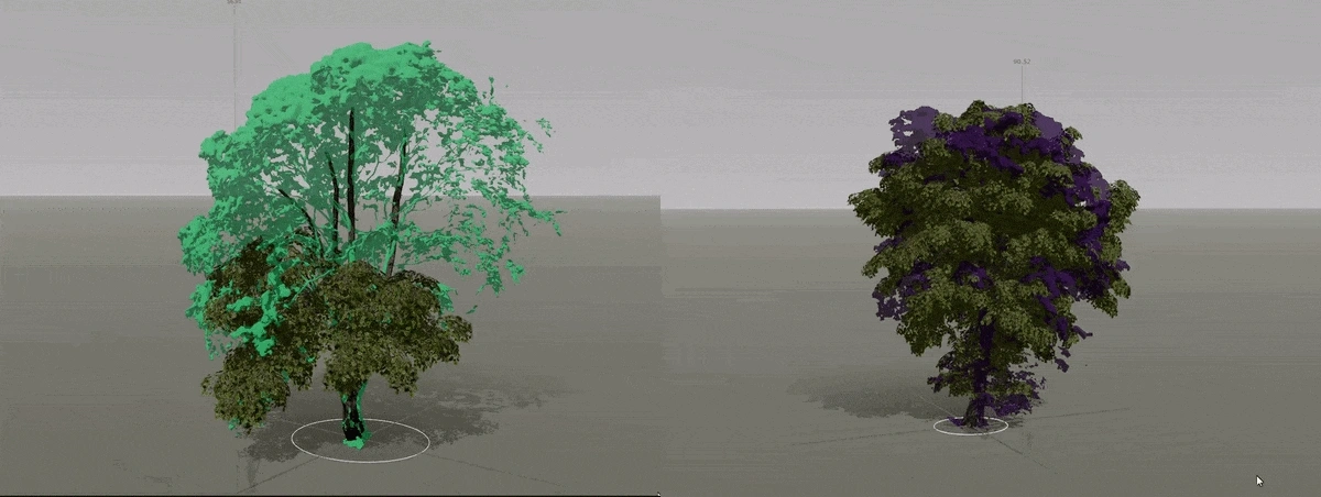 Animation of maple tree options at Guildford Castle.