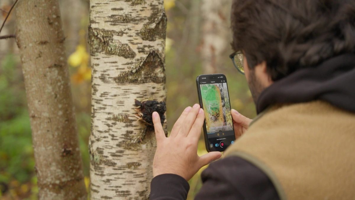 Ein Wissenschaftler scannt einen Chaga-Pilz mit RealityScan Mobile.