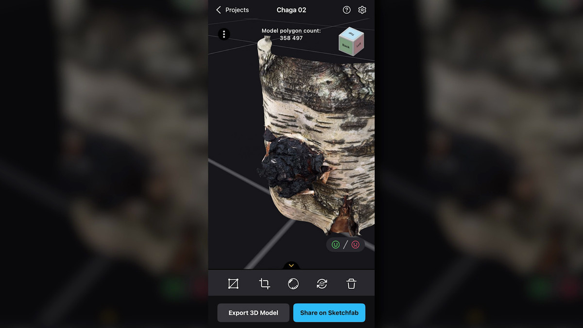 RealityScan Mobile で表示されるカバノアナタケの 3D モデル