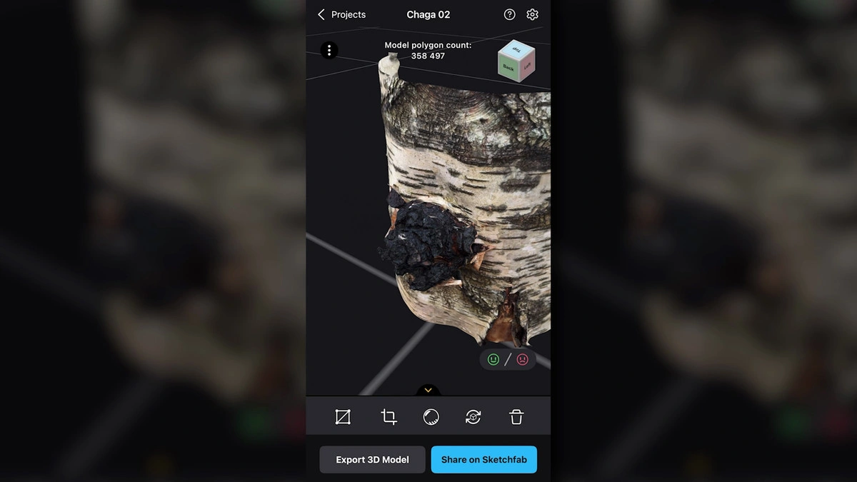 Un modelo 3D de una seta chaga en RealityScan Mobile.