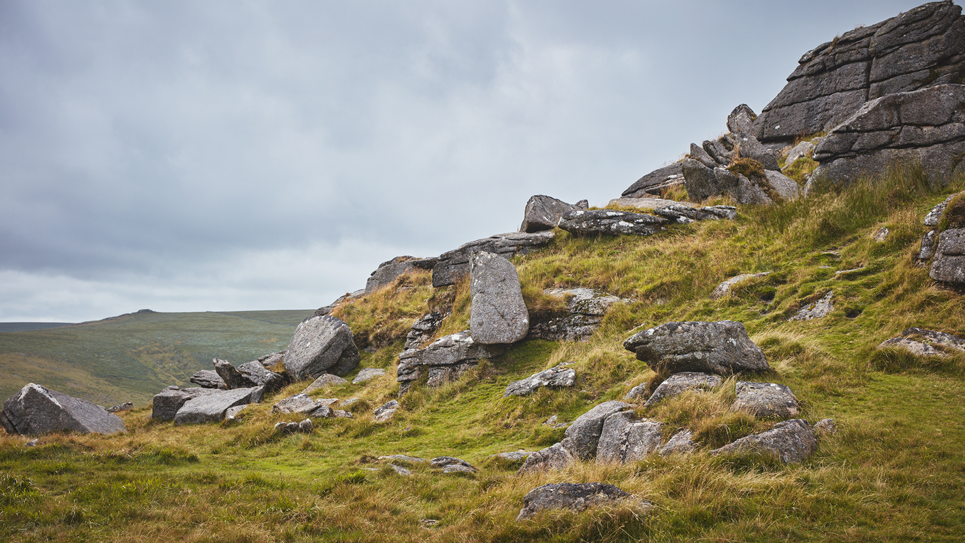 Mastering Megascans landscape reference photo.